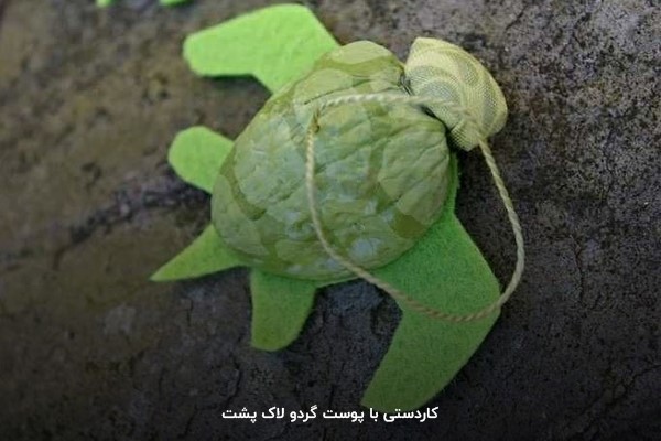 کاردستی لاک پشت با پوست گردو و لوبیا