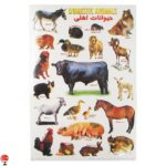 خرید و قیمت مجموعه برچسب A4 حیوانات اهلی