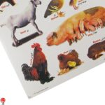 خرید و قیمت مجموعه برچسب A4 حیوانات اهلی