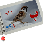 خرید و قیمت فلش کارت الفبا فارسی