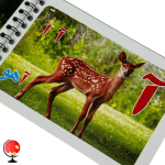 خرید و قیمت فلش کارت الفبا فارسی